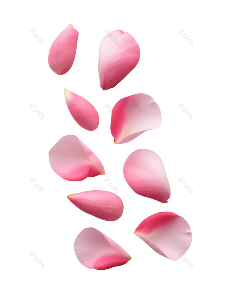 求婚图片,摄影元素,唯美PNG,浪漫免抠素材